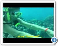 Hookah Diving Bayahibe