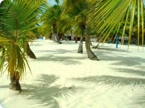 Saona Strand