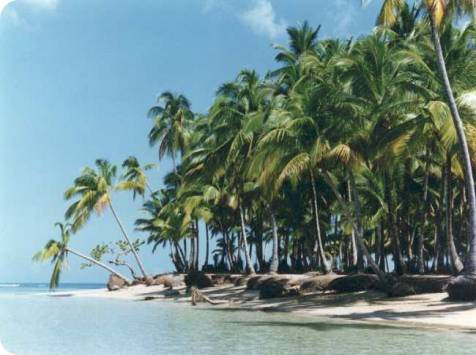 las terrenas