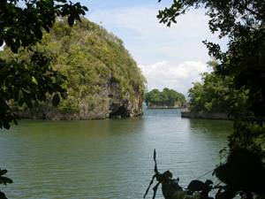 los haitises samana